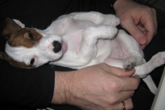 Fler Wilma-bilder