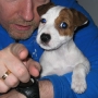 wilma_9v