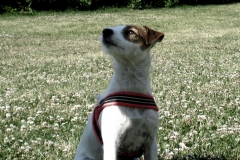 Wilma 100626