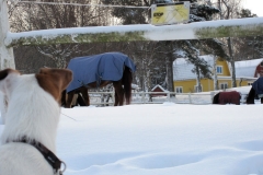 Wilma 091227